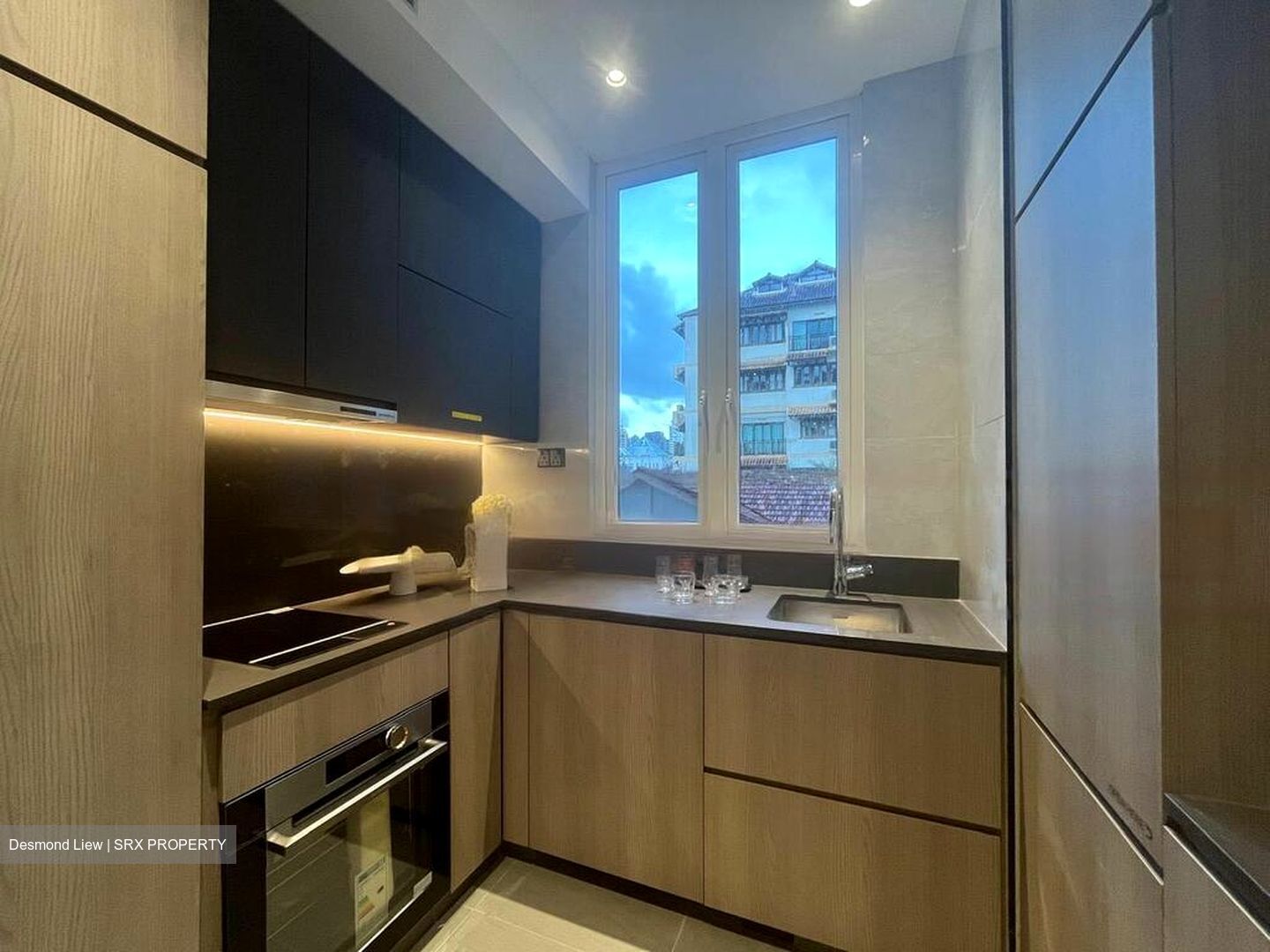 Jervois Treasures (D10), Apartment #458133281